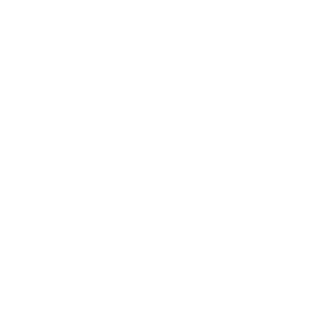 Icono - Llave